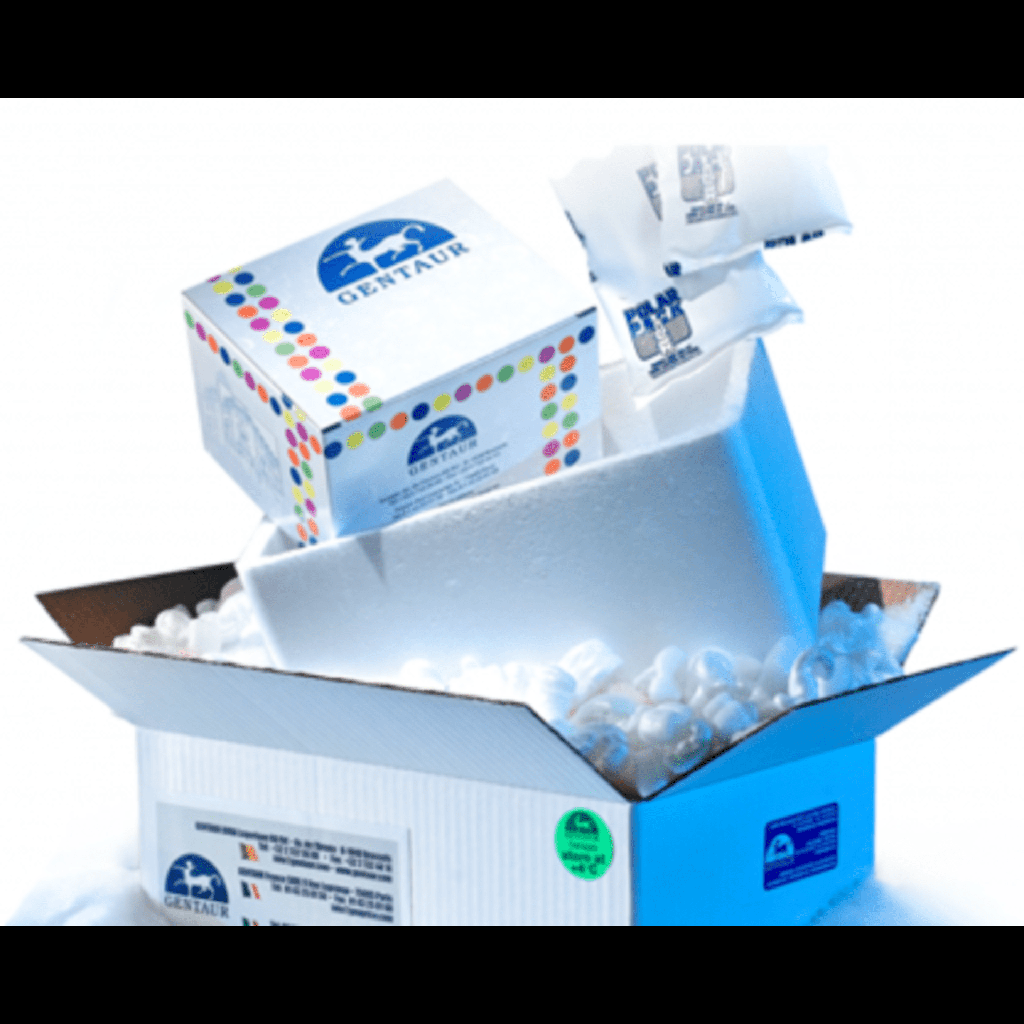 Annexin V CF® Dye Conjugates, Azidesize:Free, Lyophilized