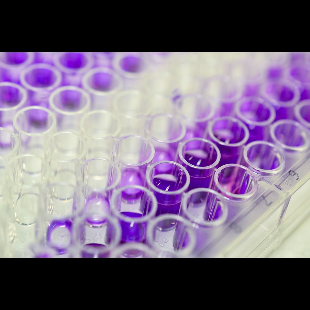 Bovine Cortisol ELISA Kit size: 96 Tests