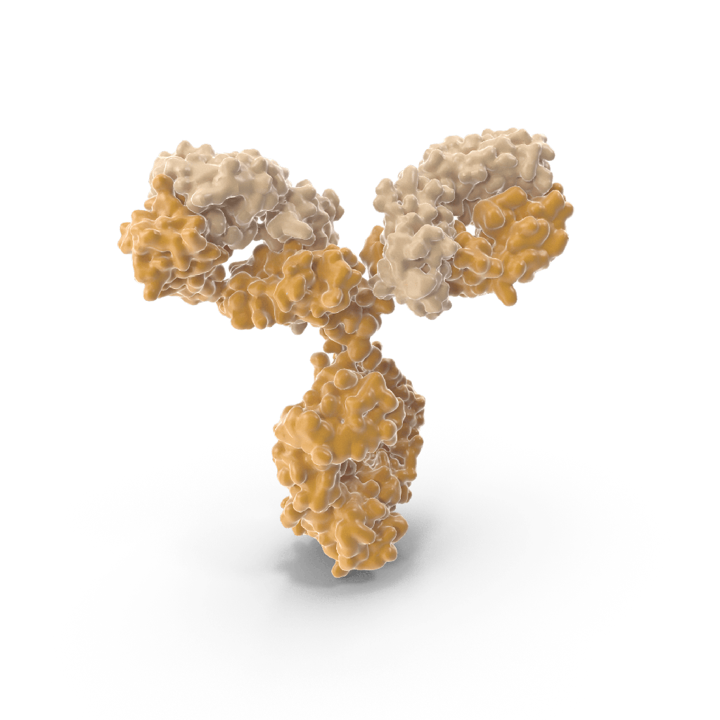 anti-human CD4-Purified Preservative Free 0.1 mg